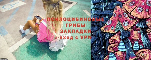 спайс Алексин