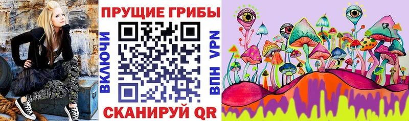 Псилоцибиновые грибы GOLDEN TEACHER Зеленодольск