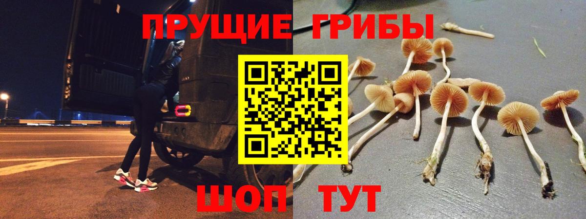 Псилоцибиновые грибы мухоморы Зеленодольск
