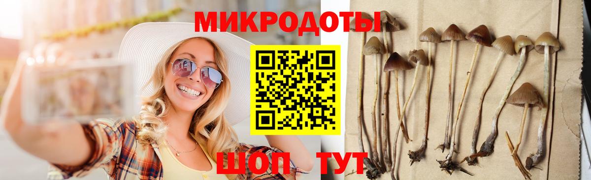 Псилоцибиновые грибы мицелий  Вход с VPN  Зеленодольск 